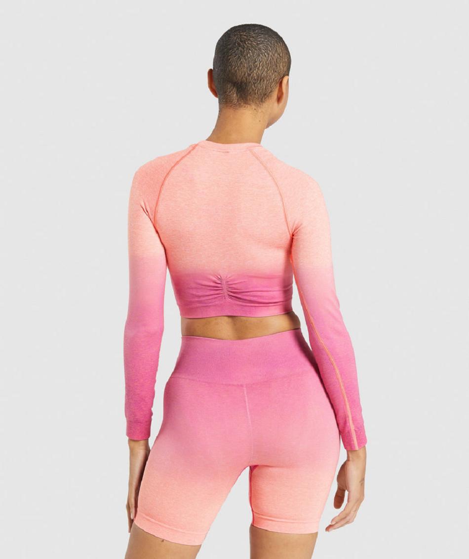 Przycięte Topy Damskie Gymshark Adapt Ombre Seamless Long Sleeve Pomarańczowe Różowe | PL 2713SGL